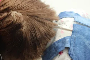 Macro view of realistic baby doll brown hair root details and denim overall texture