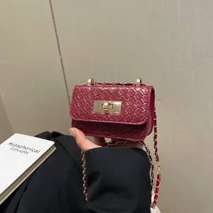 Women Mini Woven PU Leather Crossbody Bag Fashion Small Square Shoulder Bag With Gold Metal Lock Chain Strap Accessory