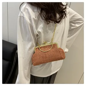 Detailed view of brown woven shell bag with golden metal frame and chain strap