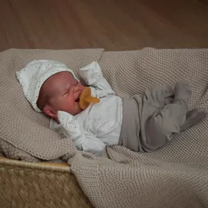 Lifelike 49cm reborn baby doll wearing lamb hat and gloves in a woven basket