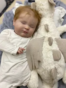 Close-up of sleeping reborn doll with detailed skin texture and white plush dinosaur