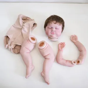 19-inch geschilderde Tessa Reborn-poppenset met geworteld haar ledematen en stoffen lijf