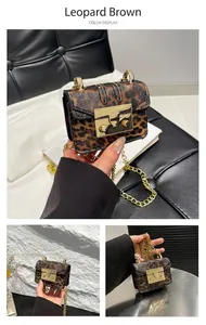 Mini leopard print crossbody bag with gold metal square clasp and chain shoulder strap
