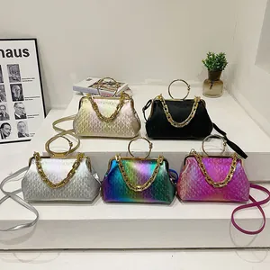 Chic 2024 gradient crossbody bags with metallic frame handles and thick gold chain accents