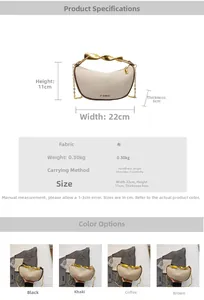 Detailed view of crescent dumpling bag with golden twist handle and size specifications