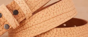 Macro shot of light brown buffalo grain leather belt with round metal rivet decorations