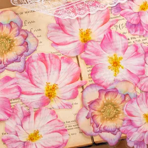 Vintage floral PET stickers with pink and purple blossoms on antique paper background