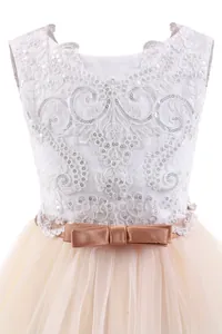 Detailed close-up of white lace embroidery with sequins and champagne bow on flower girl dress