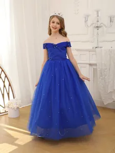 Elegant off-shoulder blue princess dress with layered tulle skirt and floral appliques