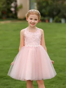 Girls Lace Mesh Embroidery Princess Dress Wedding Flower Girl Birthday Party Sleeveless Bow Tulle Formal Gown