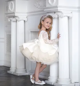 Detail of white long sleeve lace dress with sequins and a large back bow for girls
