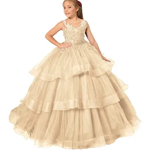 Detail of girls champagne tulle party dress with delicate lace floral appliques and sequins