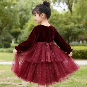 Close-up of wine red velvet bodice and sparkly mesh tutu skirt with a satin bow