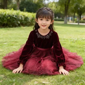 Detail of burgundy velvet bodice with bead neckline and layered sequin tulle skirt