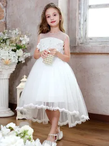Girls Princess Lace Mesh Trailing Dress Flower Embroidery High-Low Evening Gown For Wedding Performance Party Kids Clothing