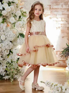 Detail of flower girl dress with exquisite lace bodice and champagne tulle skirt