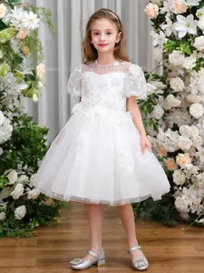 Mädchen Prinzessin Hochzeit Party Kleid Weiß Tüll Spitze Stickerei 3D Blume Puffärmel Blumenmädchen Kommunion Kleid Für Kinder
