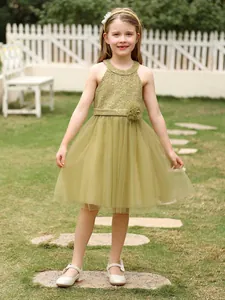 Robe Princesse Fille Dos Nu Dentelle Mesh Tulle Sans Manches Multicouche Trapèze Robe de Soirée Pour Enfant Demoiselle d'Honneur