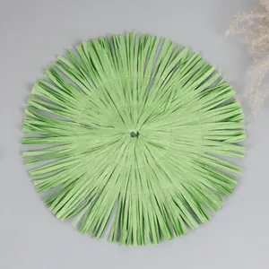 Detailed top-down shot of circular grass green woven placemat with fringed edges