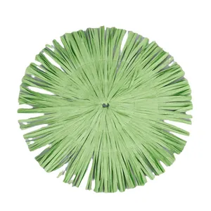 Minimalist round light green woven placemat with fringe details on a white background