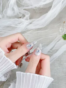Détail de faux ongles œil de chat argenté avec paillettes d'étoiles bleues et strass
