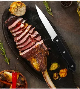 Detail of serrated stainless steel steak knife with triple-riveted black handle in use