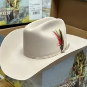 Vintage Western Wool Felt Cowboy Hat With Feather Decoration Wide Curved Brim Fashion Fedora Hat For Men Women Outdoor Travel