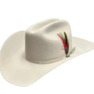 Classic white wool felt cowboy hat with decorative tricolor feather on solid white background