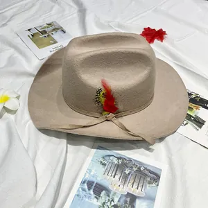 Classic beige wool felt western cowboy hat with decorative feathers on white fabric