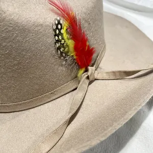 Detail of light brown wool felt cowboy hat with colorful feather and woven band