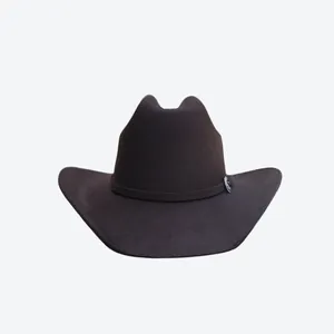 Detail of dark brown wool felt cowboy hat with silver metal emblem on decorative band