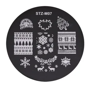 Macro view of STZ-M07 stainless steel nail stamping plate with snowflake patterns