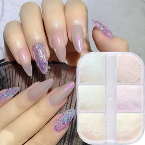 6-Gitter Aurora Nagelpuder Set mit Perlen-Chrom-Effekt und Magic Mirror Pigmenten