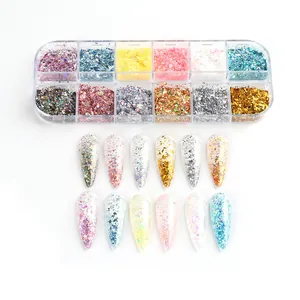 12-vaks nail art glitterset met holografische folievlokken en voorbeeld nageltips