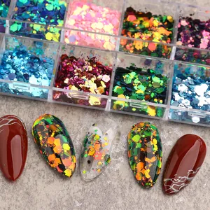 Detail van 12-vaks nagelkunst lovertjes met holografische glitters op gemanicureerde nagels