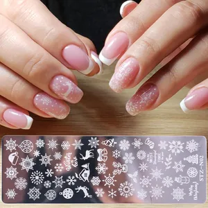 Piastra per stamping unghie in acciaio inox con fiocchi di neve e motivi invernali