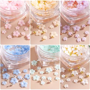 6-color gradient 3D resin flowers and metal beads nail art charms set in clear box