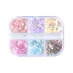 Nagelkunst Aurora Opal Puder Pailletten Set in 6-Gitter Box mit irisierendem Finish