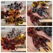 Detail view of large matte 8cm octopus hair claws in various tortoiseshell patterns