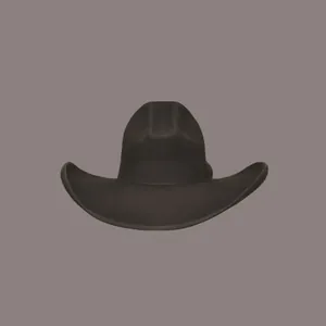 Classic dark brown wool felt cowboy hat with ribbon bow and upturned brim style