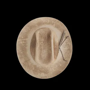 Overhead view of vintage wool felt fedora with distressed jacquard and feather details