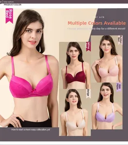 Detail of luxury silk lace bras showing five color variants including rose and wine red