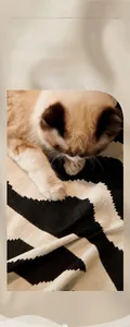 Nahaufnahme der cremeweißen Chenille-Sofadecke mit weicher Rippenstruktur und Ragdoll-Katze