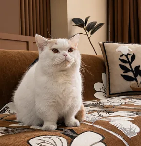 Macro detail of cat-friendly chenille sofa cover with floral pattern and anti-scratch fabric
