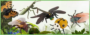 Detail of 6 realistic insect models including butterfly and bee for kids educational play