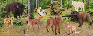 Realistic solid PVC wildlife animal figurines set including bear deer and wolf models