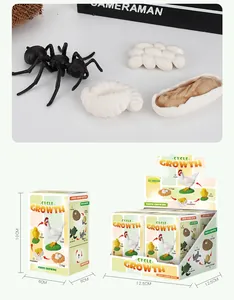 Educational life cycle model set showing ant growth stages and themed packaging dimensions