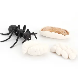 Educational ant life cycle toy set featuring realistic egg, larva, pupa, and adult models