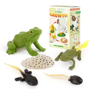 Realistic frog life cycle toy set including eggs, tadpoles and adult frog models