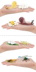 Macro view of snail and dragonfly life cycle models showing size ratio held by hand